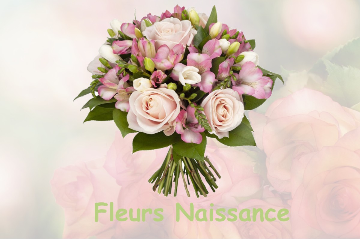 fleurs naissance LA-FRETTE-SUR-SEINE
