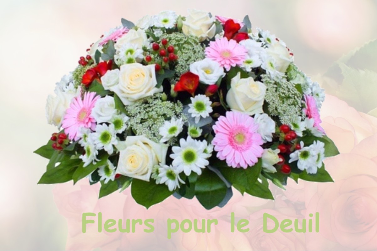 fleurs deuil LA-FRETTE-SUR-SEINE